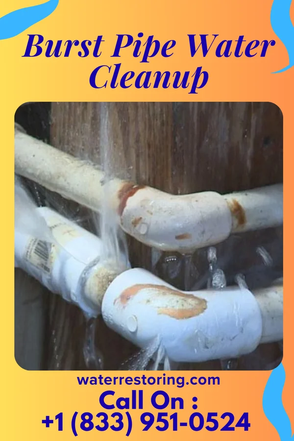Burst Pipe Water Cleanup in Frackville, PA