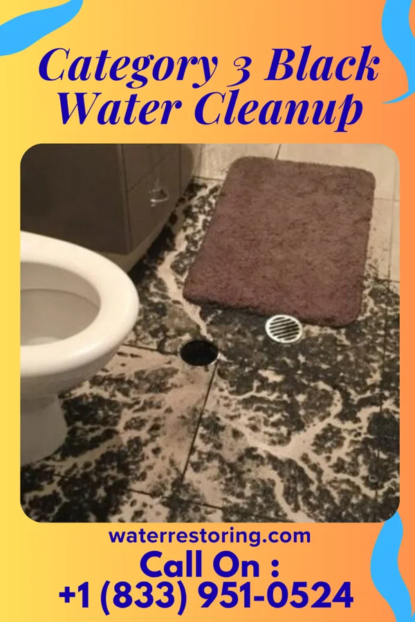 Category 3 Black Water Cleanup in Frackville, PA