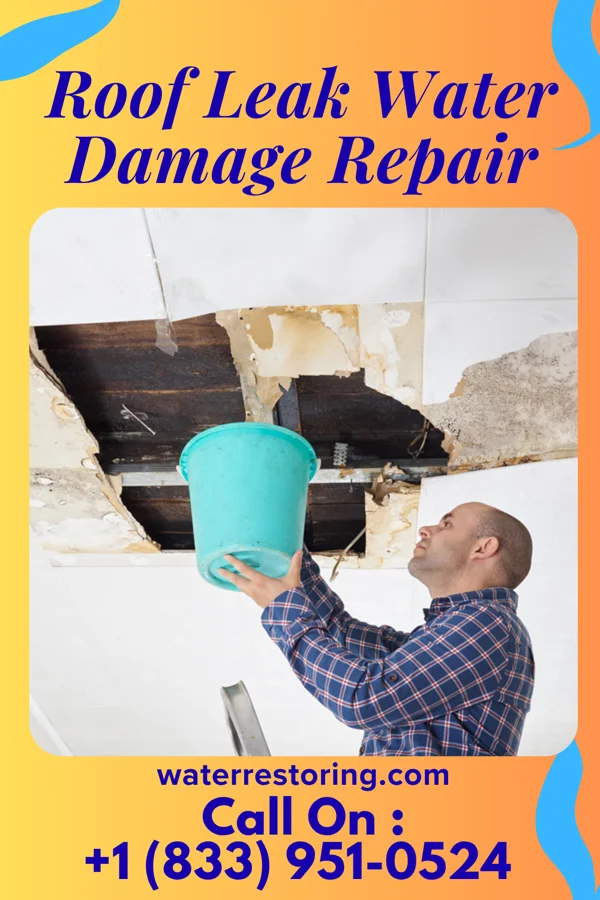 Roof Leak Water Damage Repair in Frackville, PA