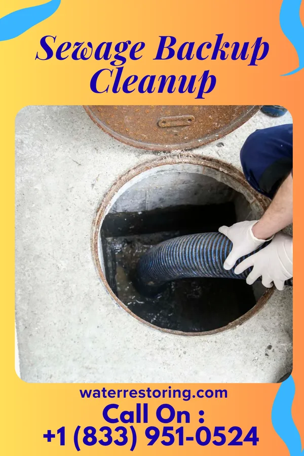Sewage Backup Cleanup in Frackville, PA