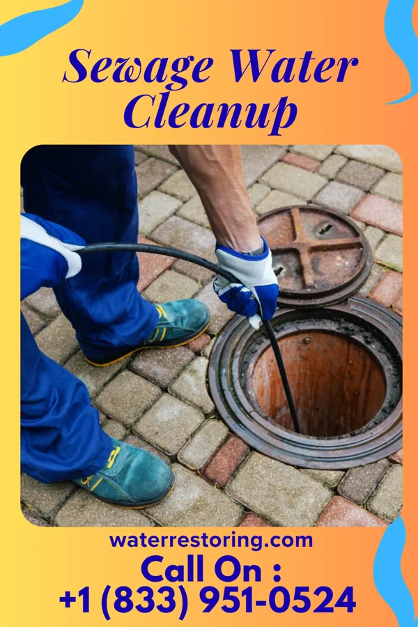 Sewage Water Cleanup in Frackville, PA