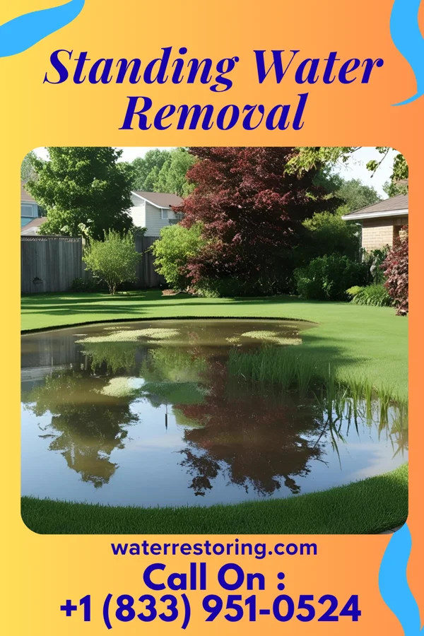 Standing Water Removal in Frackville, PA